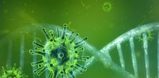 Μετάλλαξη Ομικρον: Τα συμπτώματα και σε πόσες μέρες εμφανίζονται