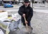 Κωνσταντίνος Πολυχρονόπουλος: Σοκάρει η νέα μαρτυρία – «Ο άνθρωπος είναι επαγγελματίας ψεύτης»