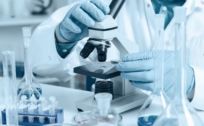 lab.jpg