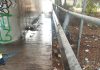 Μαρούσι: Ολοκληρώθηκε η ανανέωση πρασίνου και η ευπρεπισμός της οδού Σπ. Λούη
