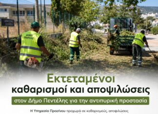 Εκτεταμένοι καθαρισμοί και αποψιλώσεις στον Δήμο Πεντέλης για την αντιπυρική προστασία