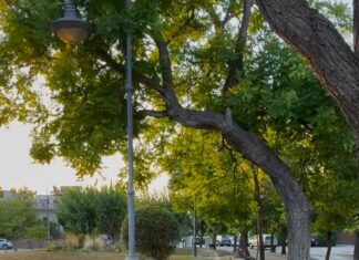 Αποκατάσταση Άρδευσης στη Φιλοθέη: Προτεραιότητα η Επαναλειτουργία του Συστήματος