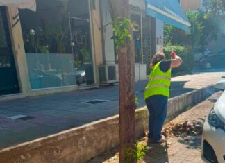 Φιλοθέη – Ψυχικό: Καθαρισμός Δήμου μετά την κακοκαιρία – Συνεχίζονται οι εργασίες