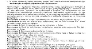 Οδός Κάλβου: Γιατί κόπηκαν τα δέντρα; Η αλήθεια πίσω από τις εργασίες