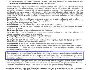 Οδός Κάλβου: Γιατί κόπηκαν τα δέντρα; Η αλήθεια πίσω από τις εργασίες