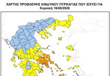 Υψηλός κίνδυνος πυρκαγιάς στην Αττική: Μέτρα ασφαλείας στα Βριλήσσια