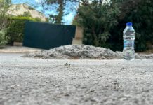 Δήμος Φιλοθέης-Ψυχικού: Υπηρεσίες σε πλήρη ετοιμότητα για τον Δεκαπενταύγουστο