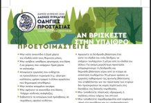 Ακραίος Κίνδυνος Πυρκαγιάς: Συναγερμός στην Κηφισιά, Κλειστά Πάρκα & Δάση
