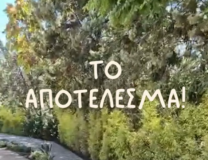 Πρασινίζουμε το προαύλιο του 4ου Δημοτικού Σχολείου, 4ου και 10ου Νηπιαγωγείου Χαλανδρίου!