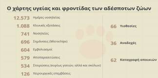 Σταθερή φροντίδα για τα αδέσποτα της πόλης – Νέα δράση στειρώσεων τον Νοέμβριο